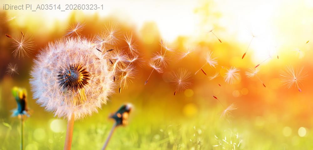prod_Image